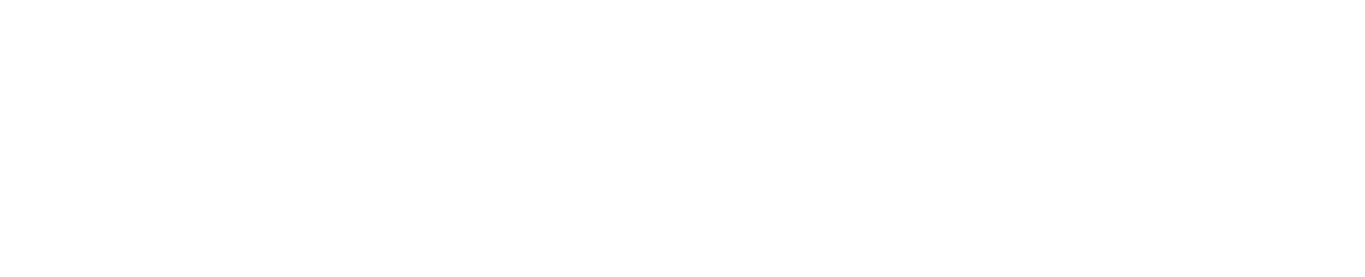 logo-weiss